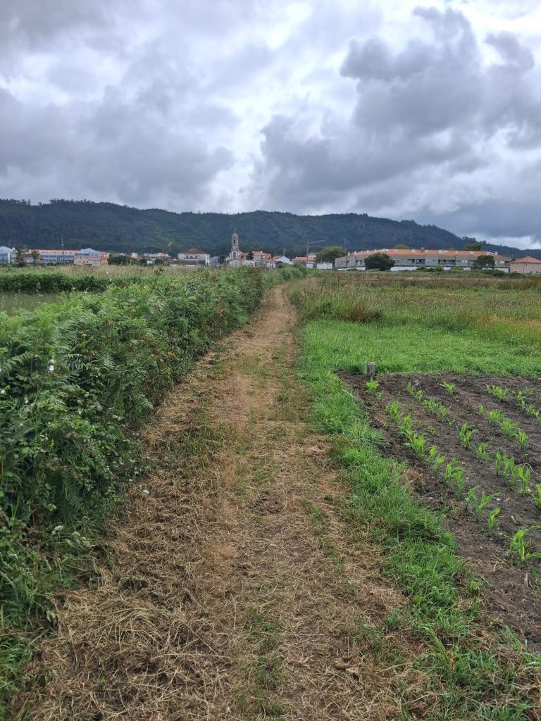 Read more about the article Caminhos agrícolas