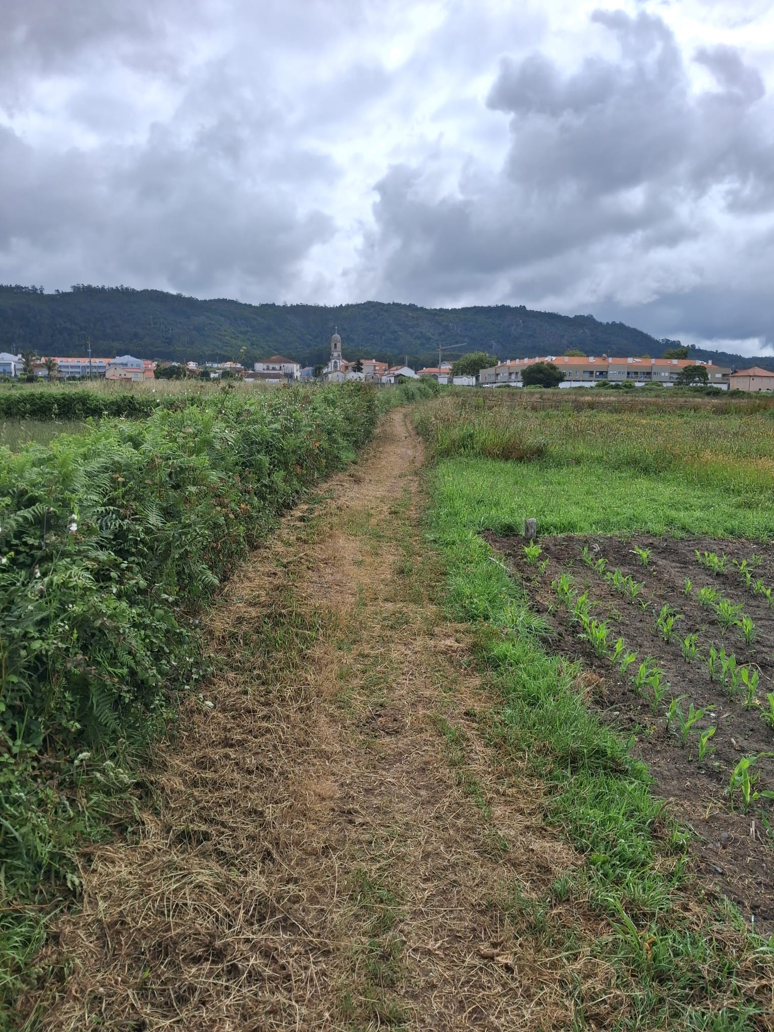 You are currently viewing Caminhos agrícolas